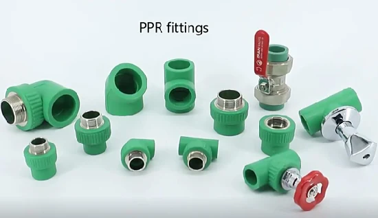 Ifan Wholesale Factory PPR Pipe Fitting 20